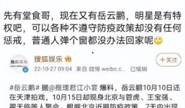 岳云鹏新闻爆料,揭秘娱乐圈幕后真相